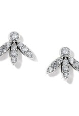 Illumina Flair Post Earrings