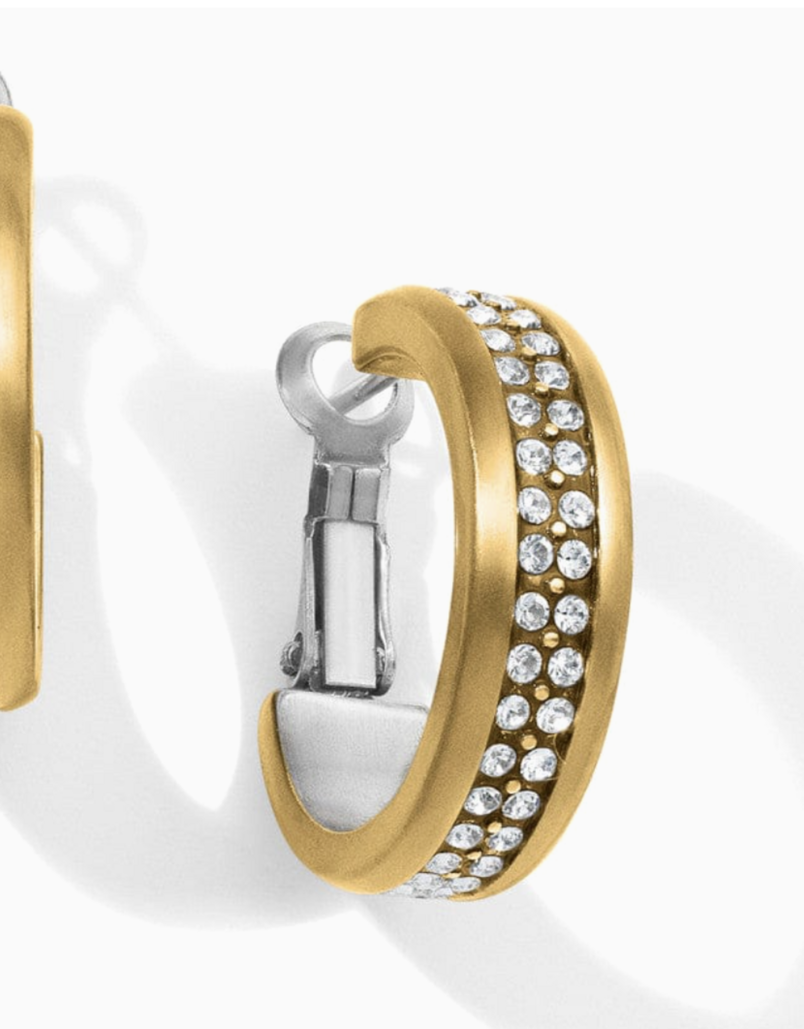 Earring Hoop Meridian 2 Tone