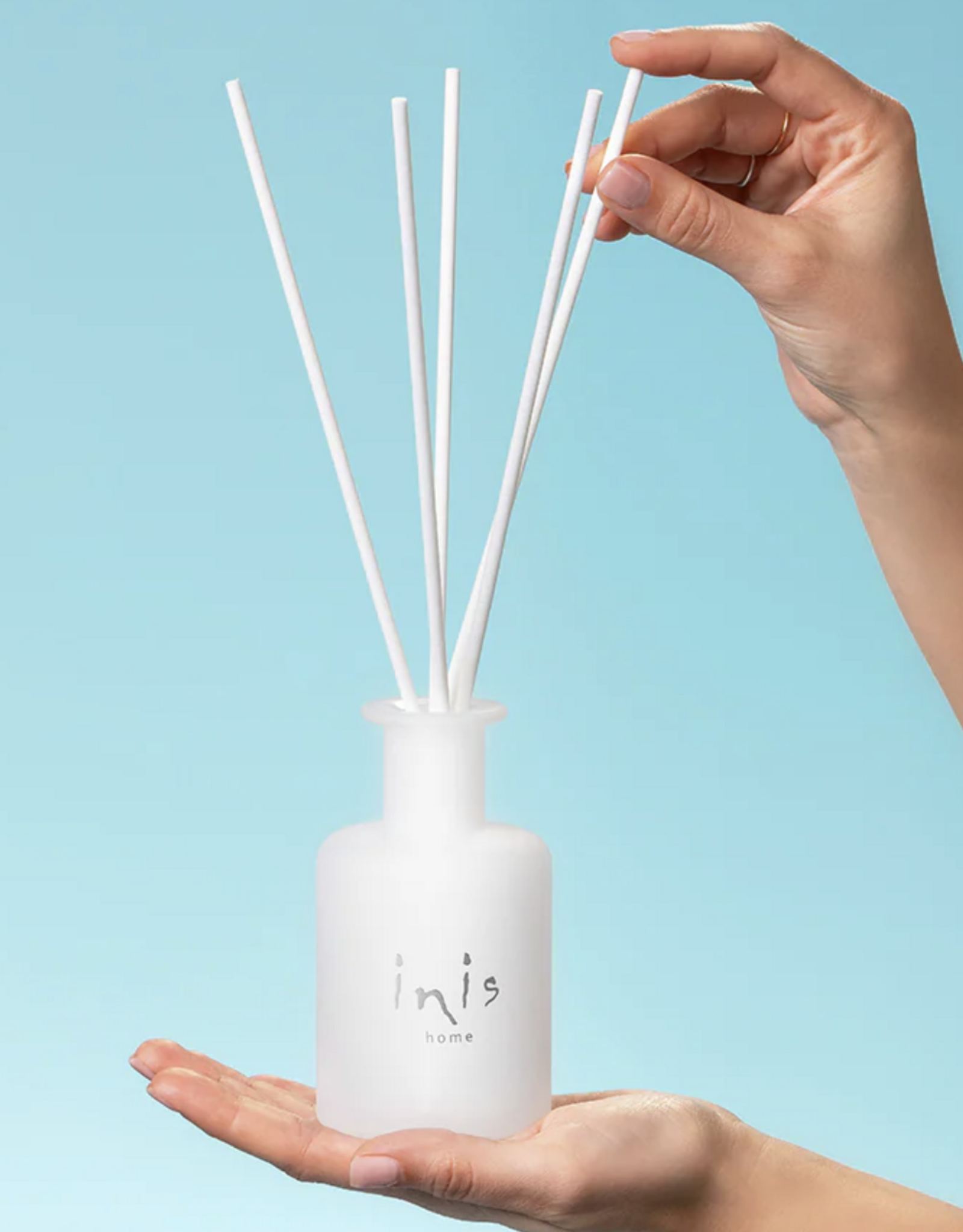 Diffuser Reeds 5pk Inis