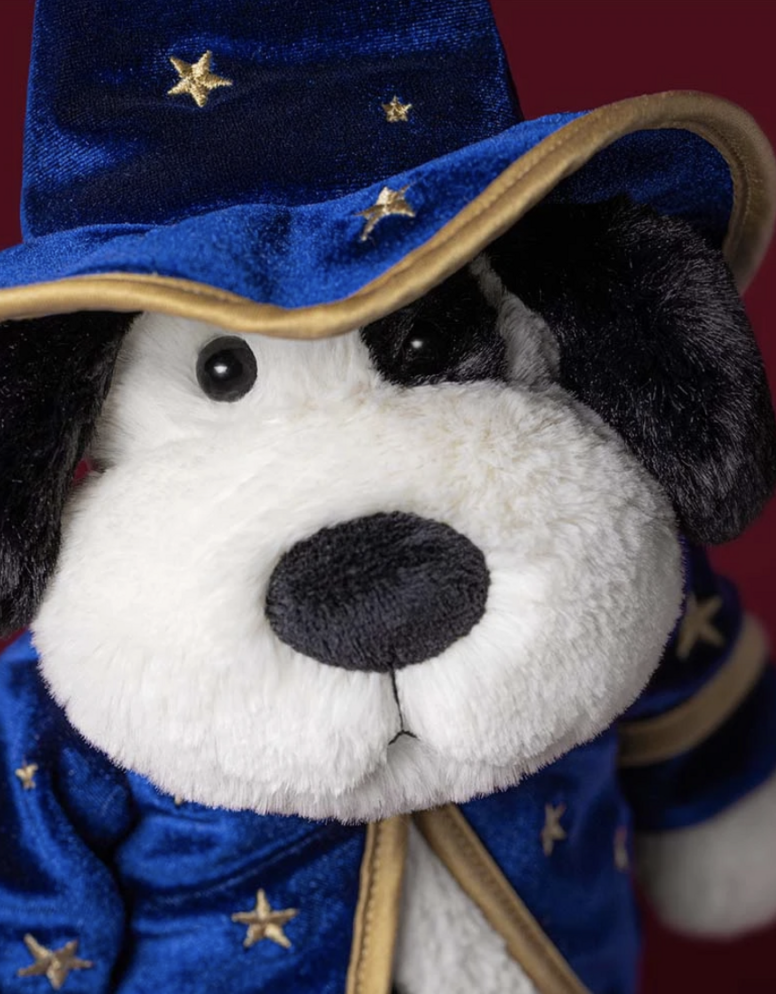 Rufferty Puppy Wizard Outfit