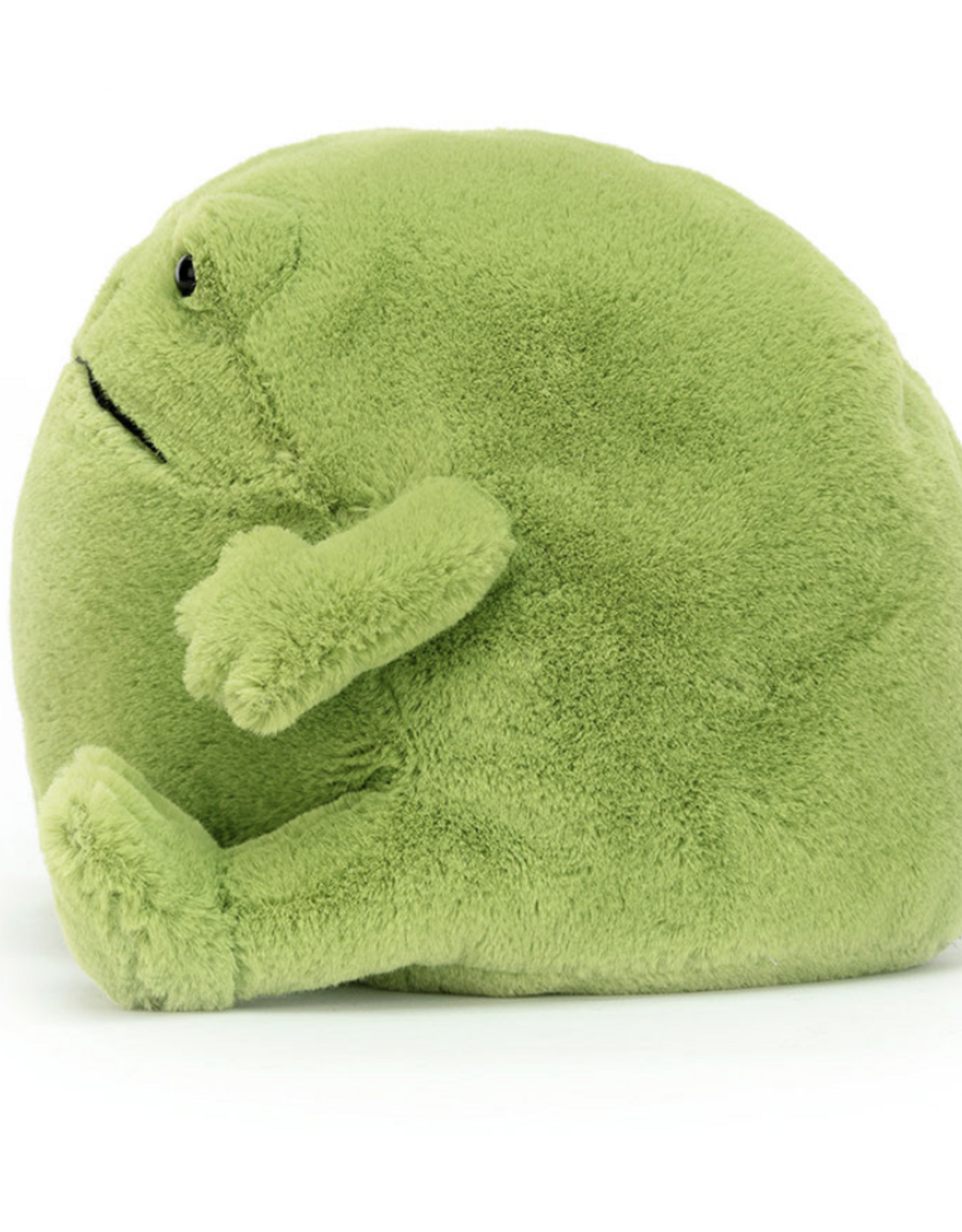 Ricky Rain Frog