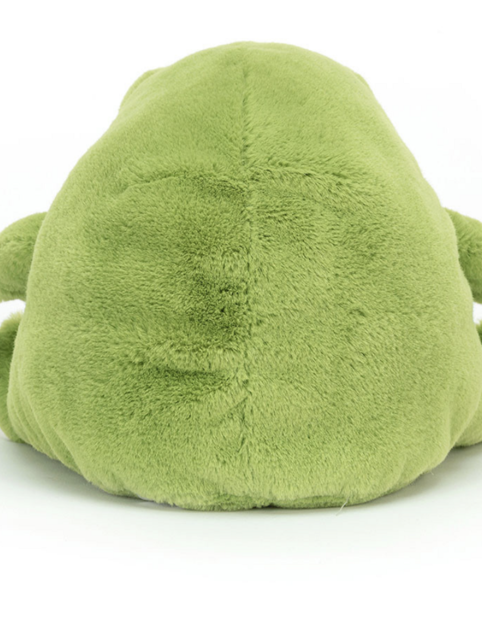 Ricky Rain Frog