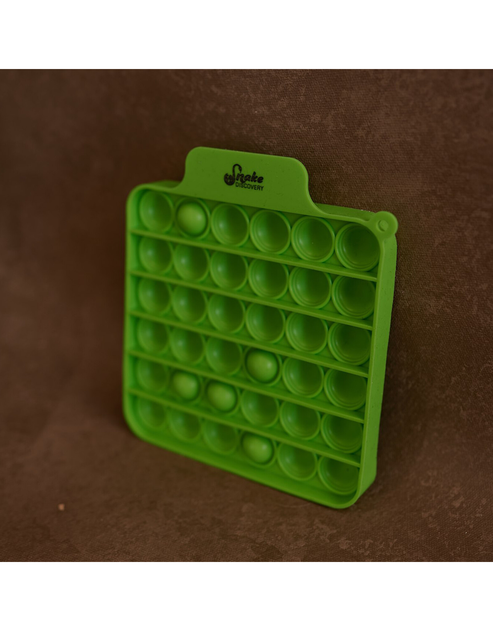 Snake Discovery SD Push Pop Fidget Game