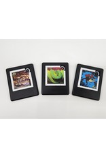 Snake Discovery Snake Discovery Slide Puzzle – Pocket-Sized Reptile Fun
