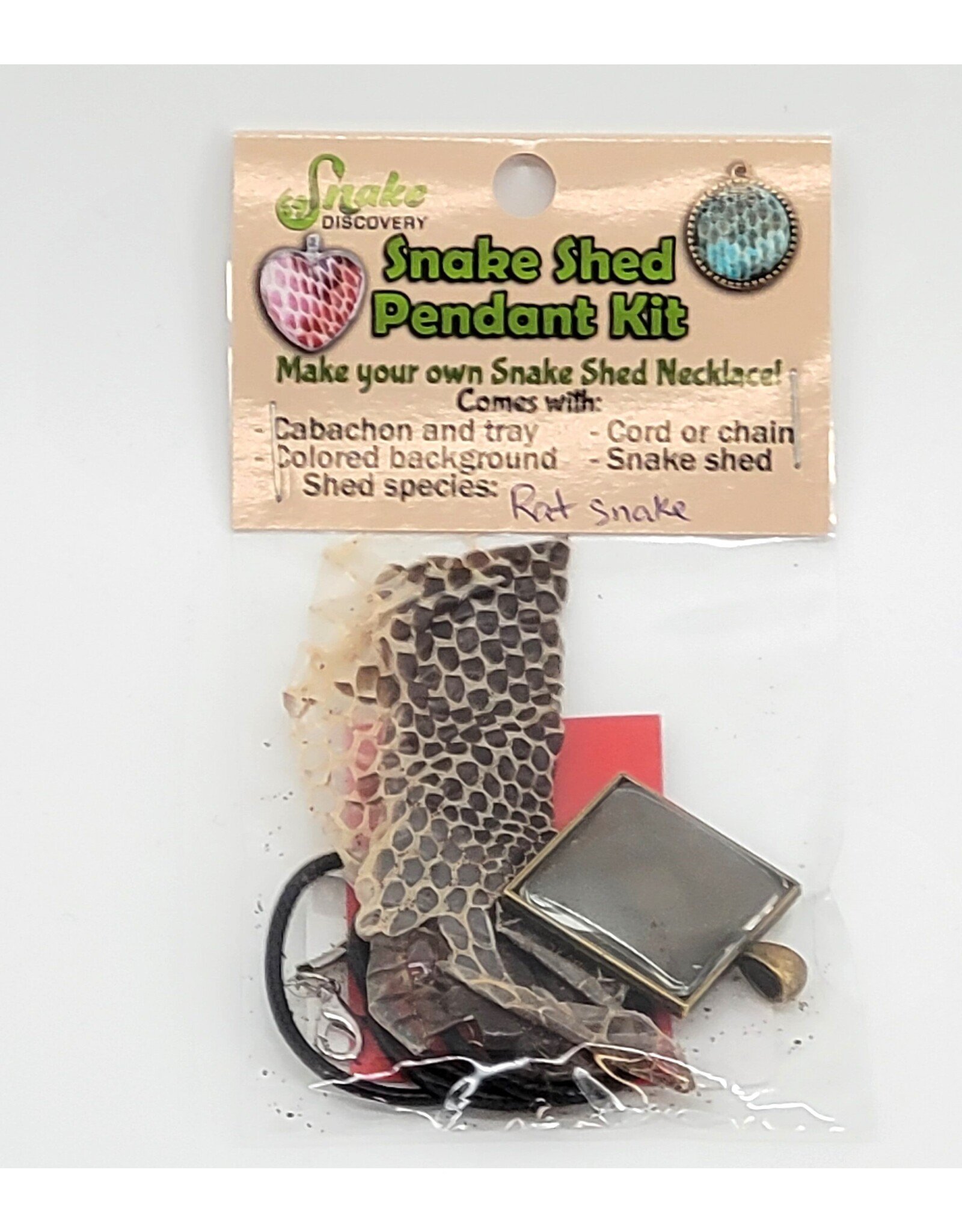 Snake Discovery Snake Shed Pendant Kit – DIY Reptile Jewelry