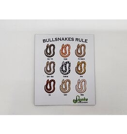 Snake Discovery SD Magnet Bullsnakes Rule