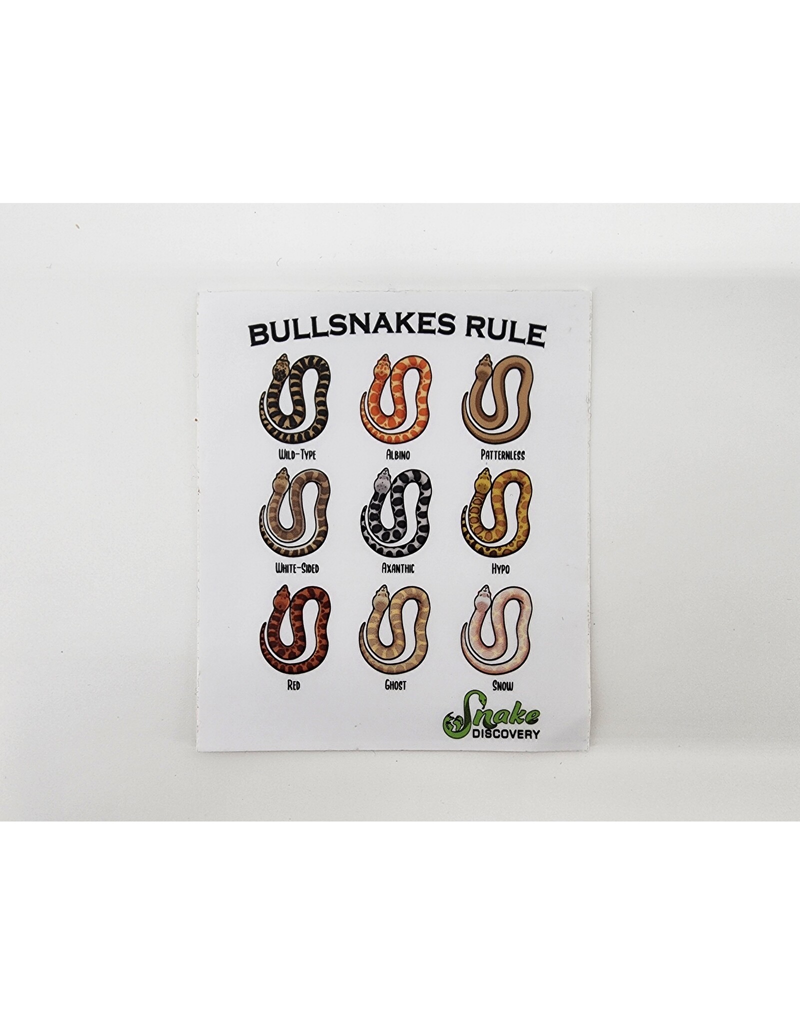 Snake Discovery SD Sticker Bullsnakes Rule