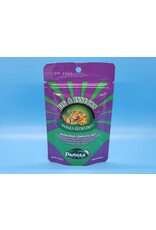 Pangea Pangea Gecko Diet Fig & Insects 2oz