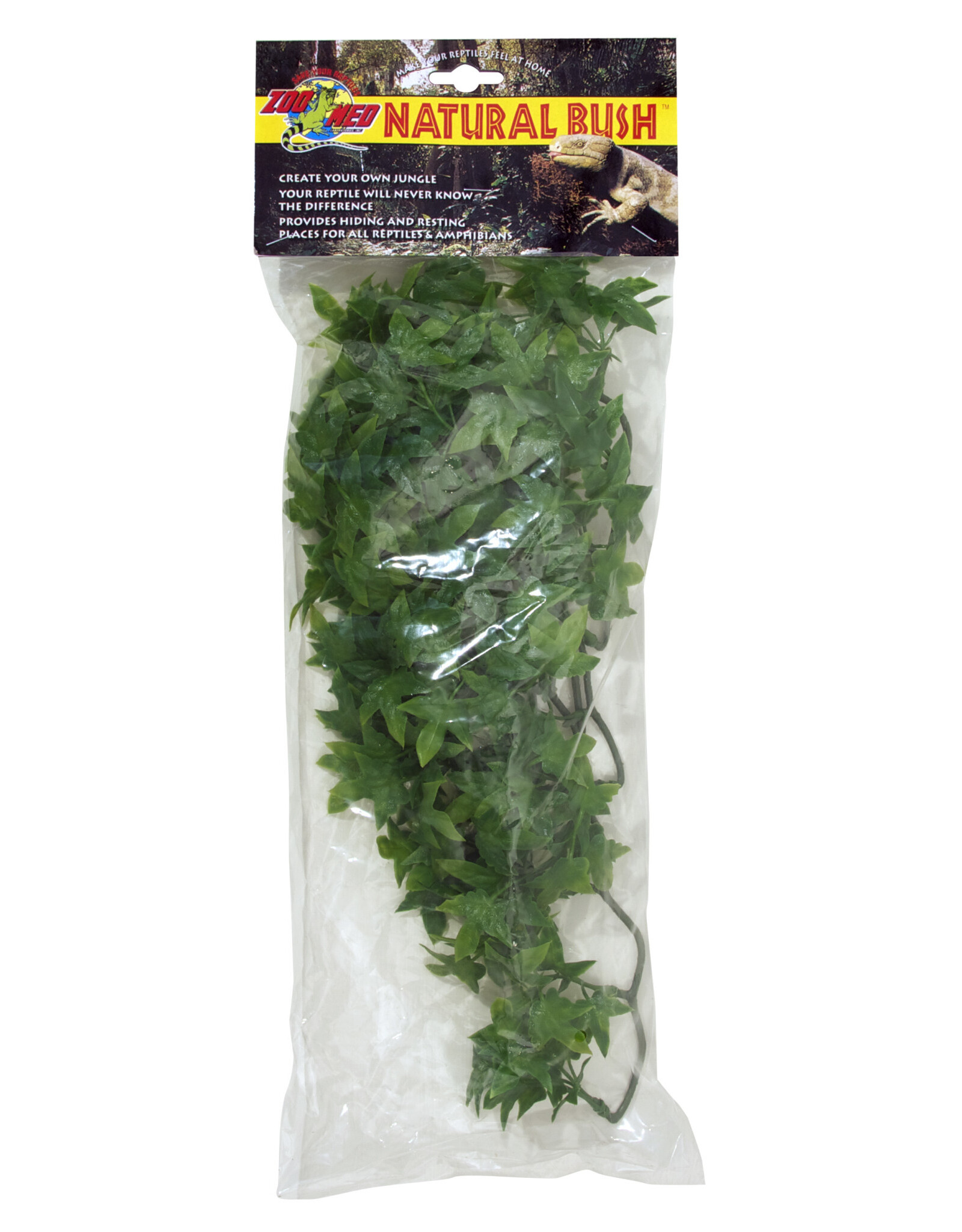 Zoo Med Zoo Med Congo Ivy Medium