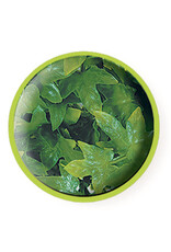 Zoo Med Zoo Med Congo Ivy Medium