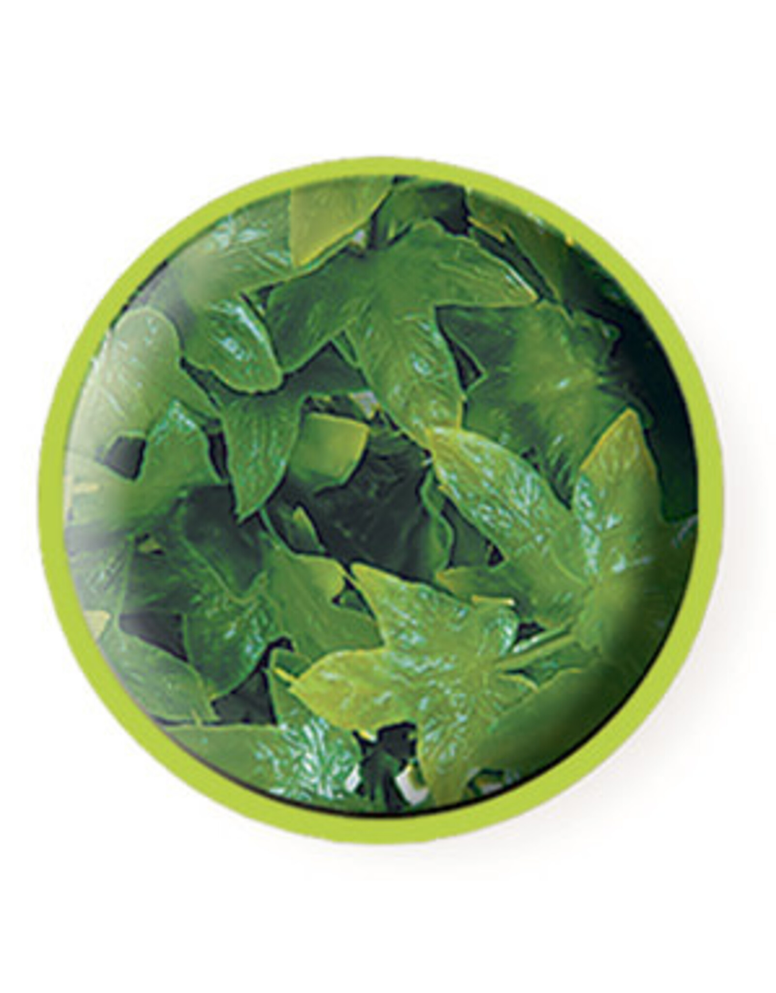 Zoo Med Zoo Med Congo Ivy Medium