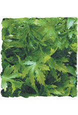 Zoo Med Zoo Med Cannabis Small