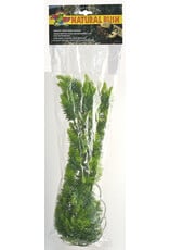 Zoo Med Zoo Med Malaysian Fern Large