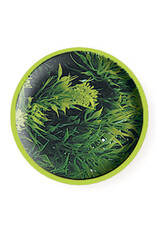 Zoo Med Zoo Med Malaysian Fern Large