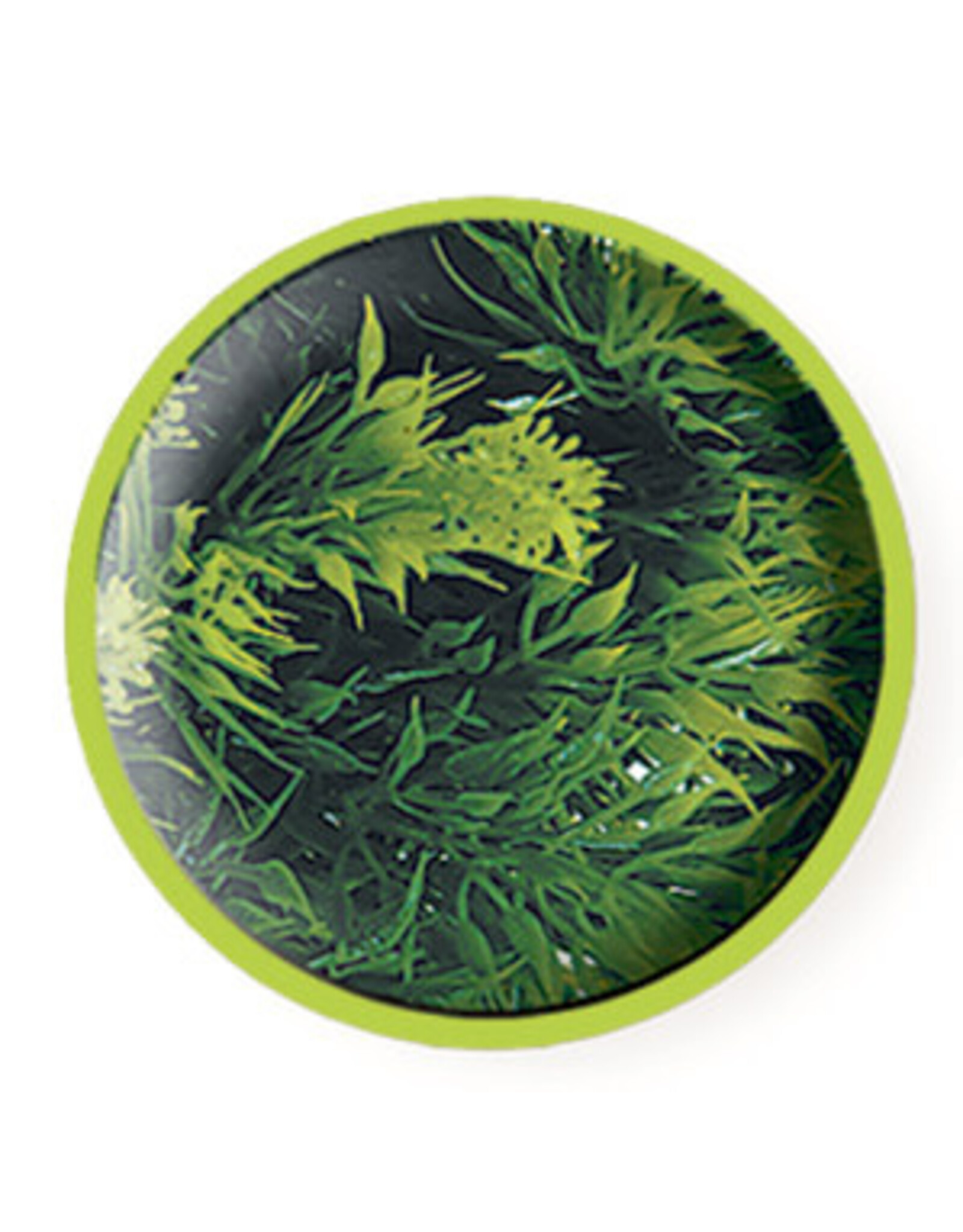 Zoo Med Zoo Med Malaysian Fern Large