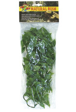 Zoo Med Zoo Med Mexican Phyllo Medium