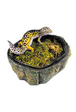Zoo Med Zoo Med Repti Shelter 3 in 1 Cave Small
