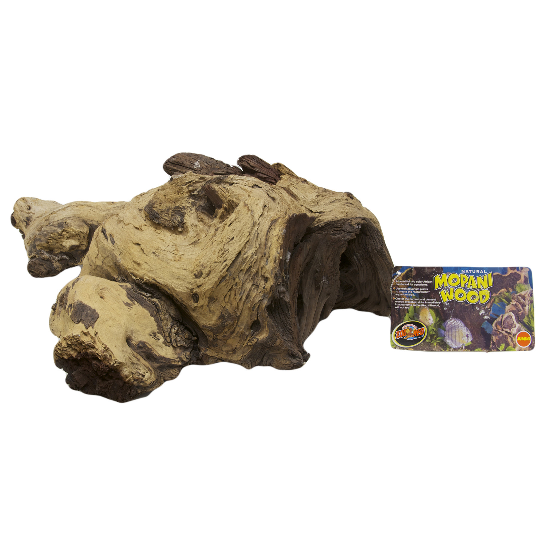 Mopani Wood (2024") Snake Discovery