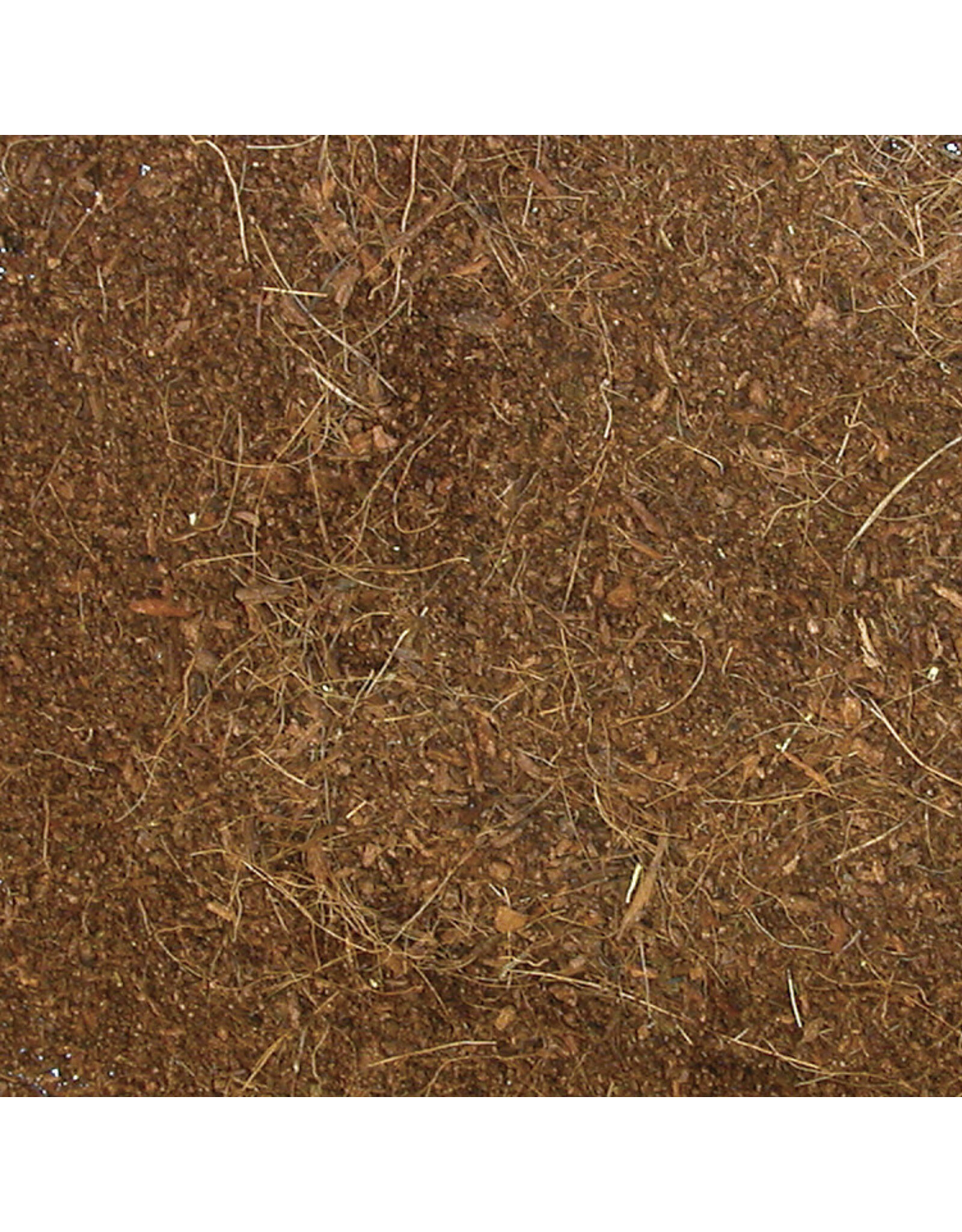 Zoo Med Zoo Med Eco Earth 3pk Bricks