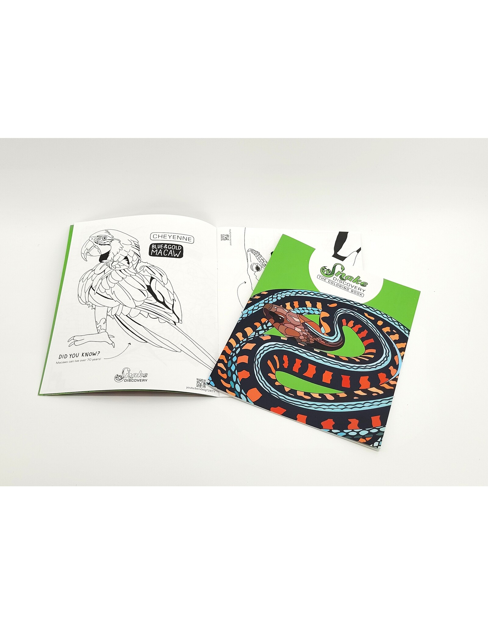 Snake Discovery Snake Discovery Coloring Book – Volume 1 (Beginner-Friendly)