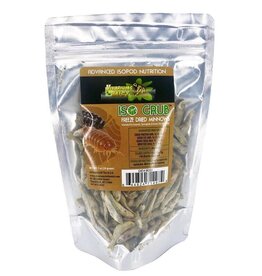 Vivariums in the Mist Iso Grub 1oz (UPC 4974)