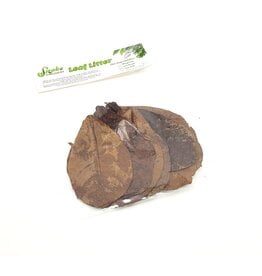 SD Almond Leaves 10pk