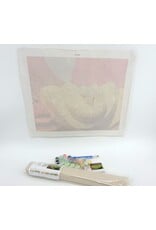 Snake Discovery Reptile Paint-by-Numbers Kit – Snake Discovery Exclusive