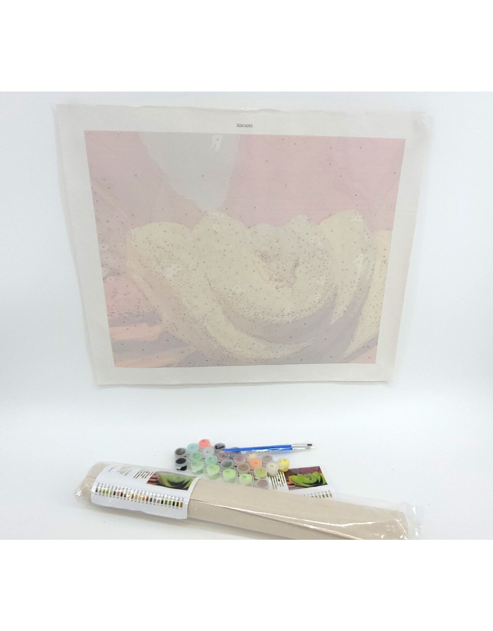 Snake Discovery Reptile Paint-by-Numbers Kit – Snake Discovery Exclusive
