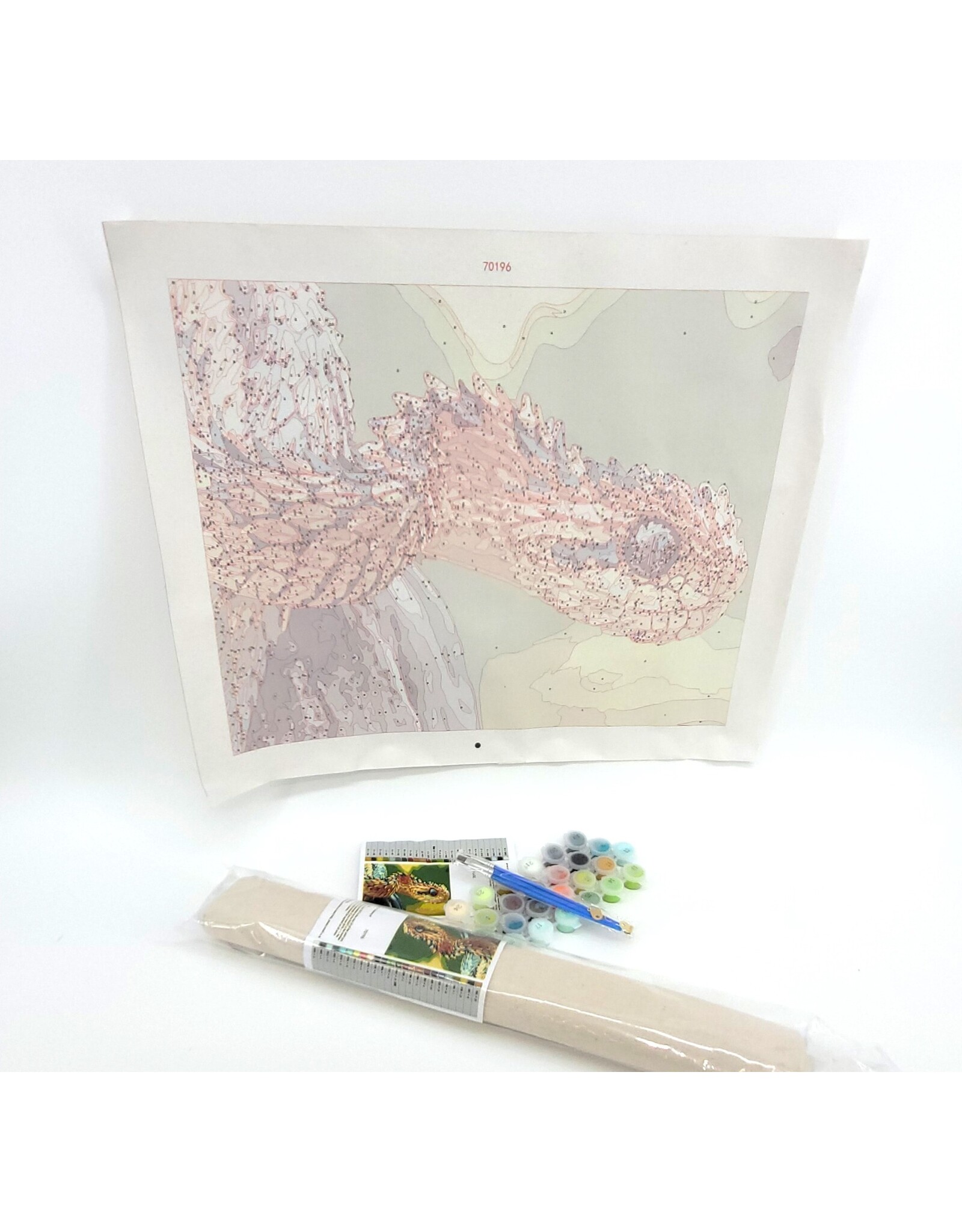 Snake Discovery Reptile Paint-by-Numbers Kit – Snake Discovery Exclusive