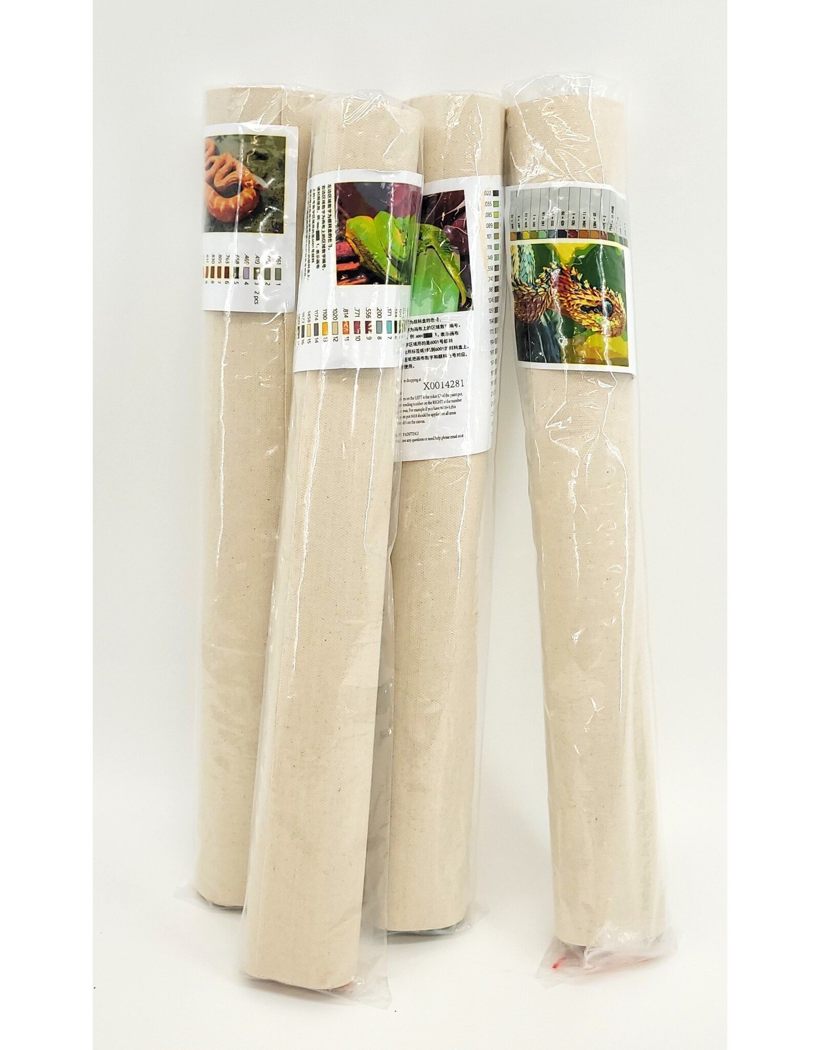Snake Discovery Reptile Paint-by-Numbers Kit – Snake Discovery Exclusive