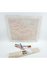 Snake Discovery Reptile Paint-by-Numbers Kit – Snake Discovery Exclusive