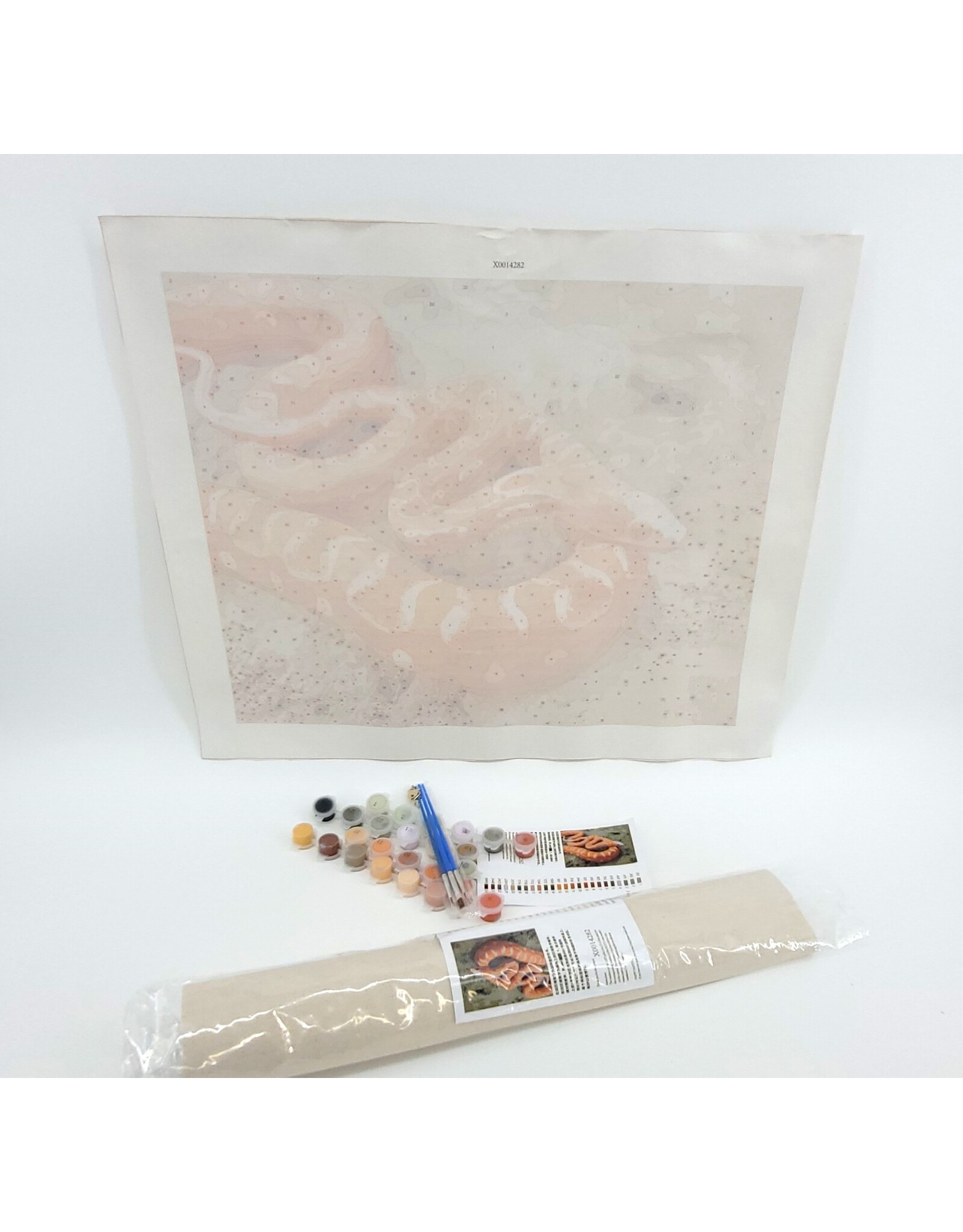 Snake Discovery Reptile Paint-by-Numbers Kit – Snake Discovery Exclusive