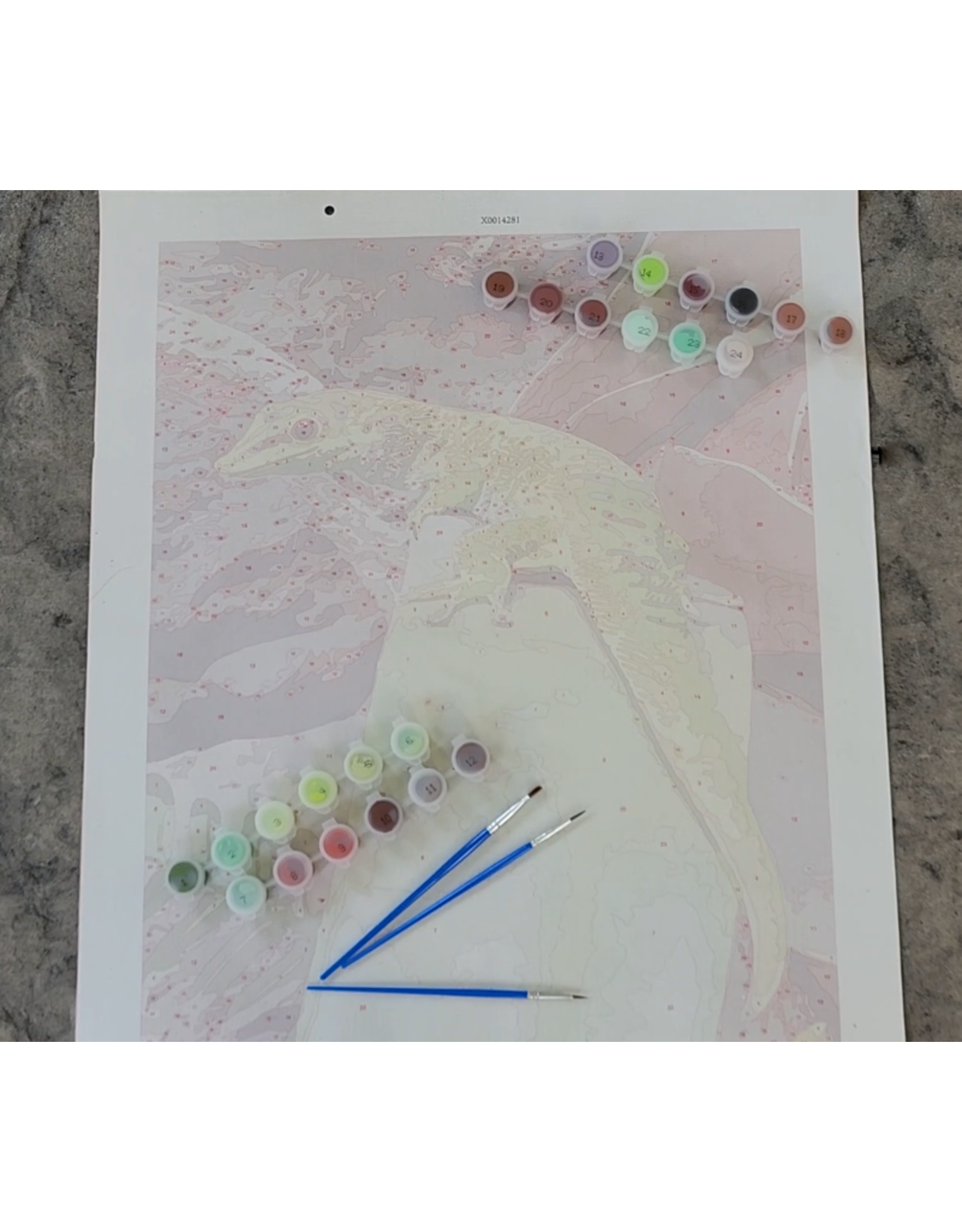 Snake Discovery Reptile Paint-by-Numbers Kit – Snake Discovery Exclusive