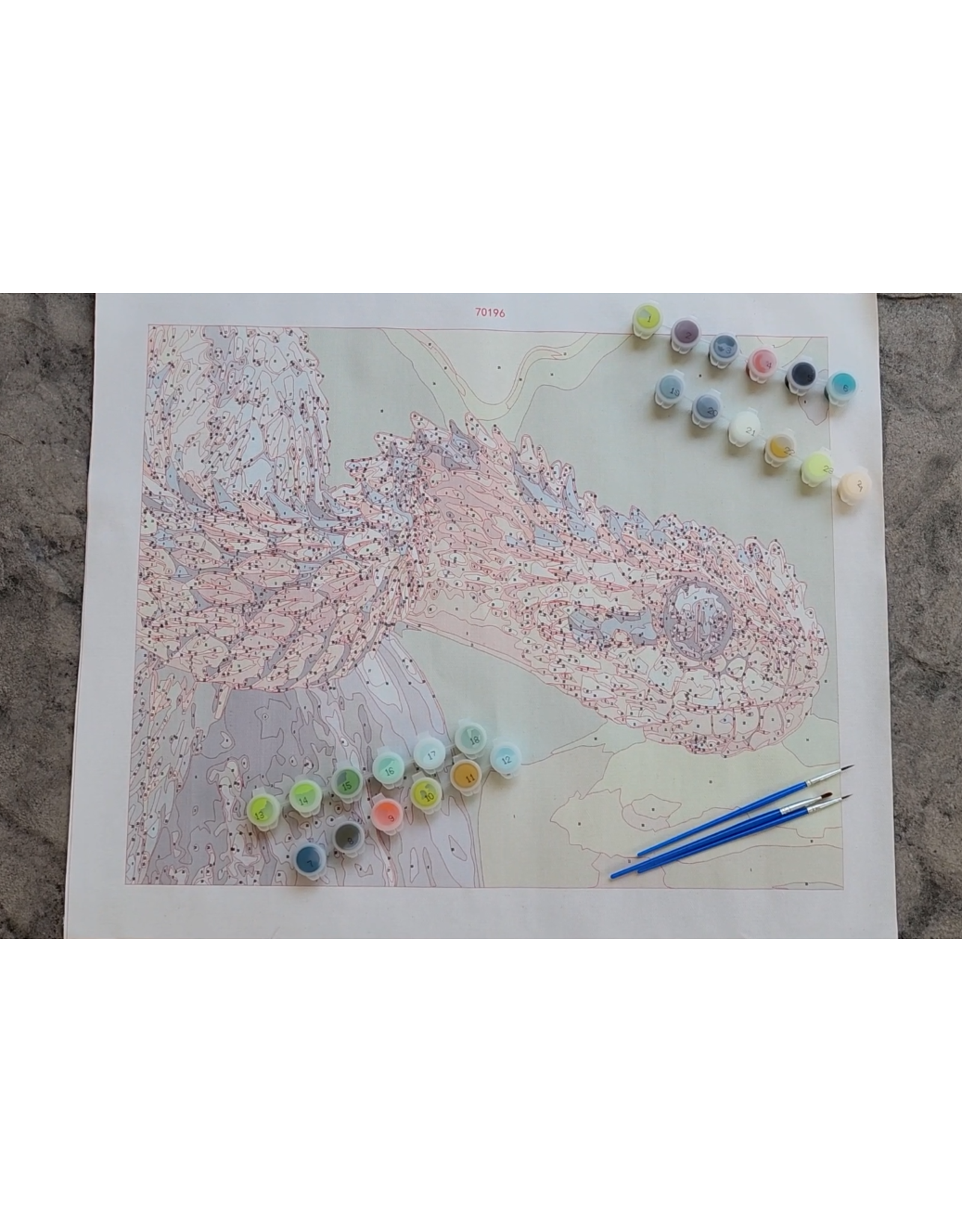 Snake Discovery Reptile Paint-by-Numbers Kit – Snake Discovery Exclusive