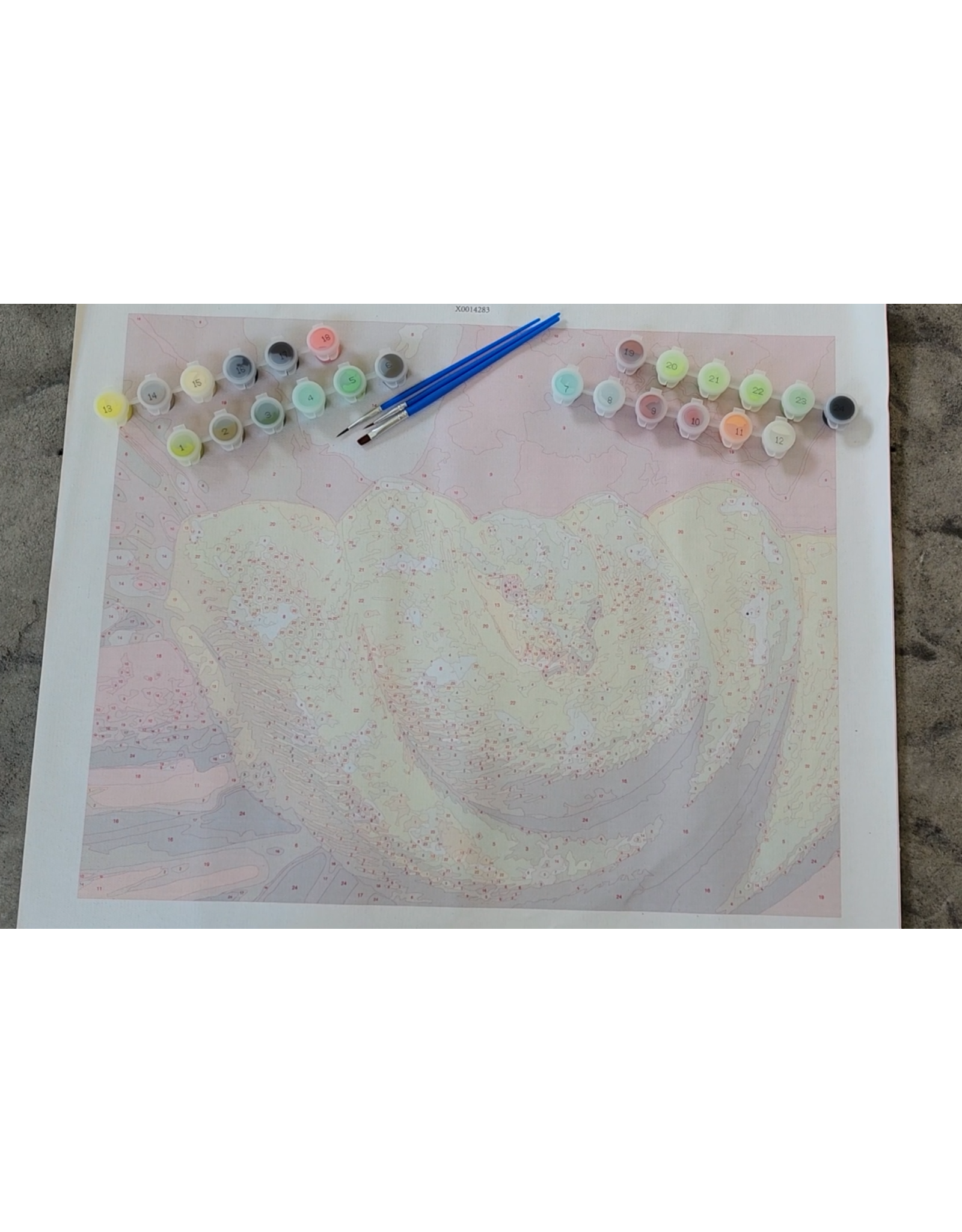 Snake Discovery Reptile Paint-by-Numbers Kit – Snake Discovery Exclusive