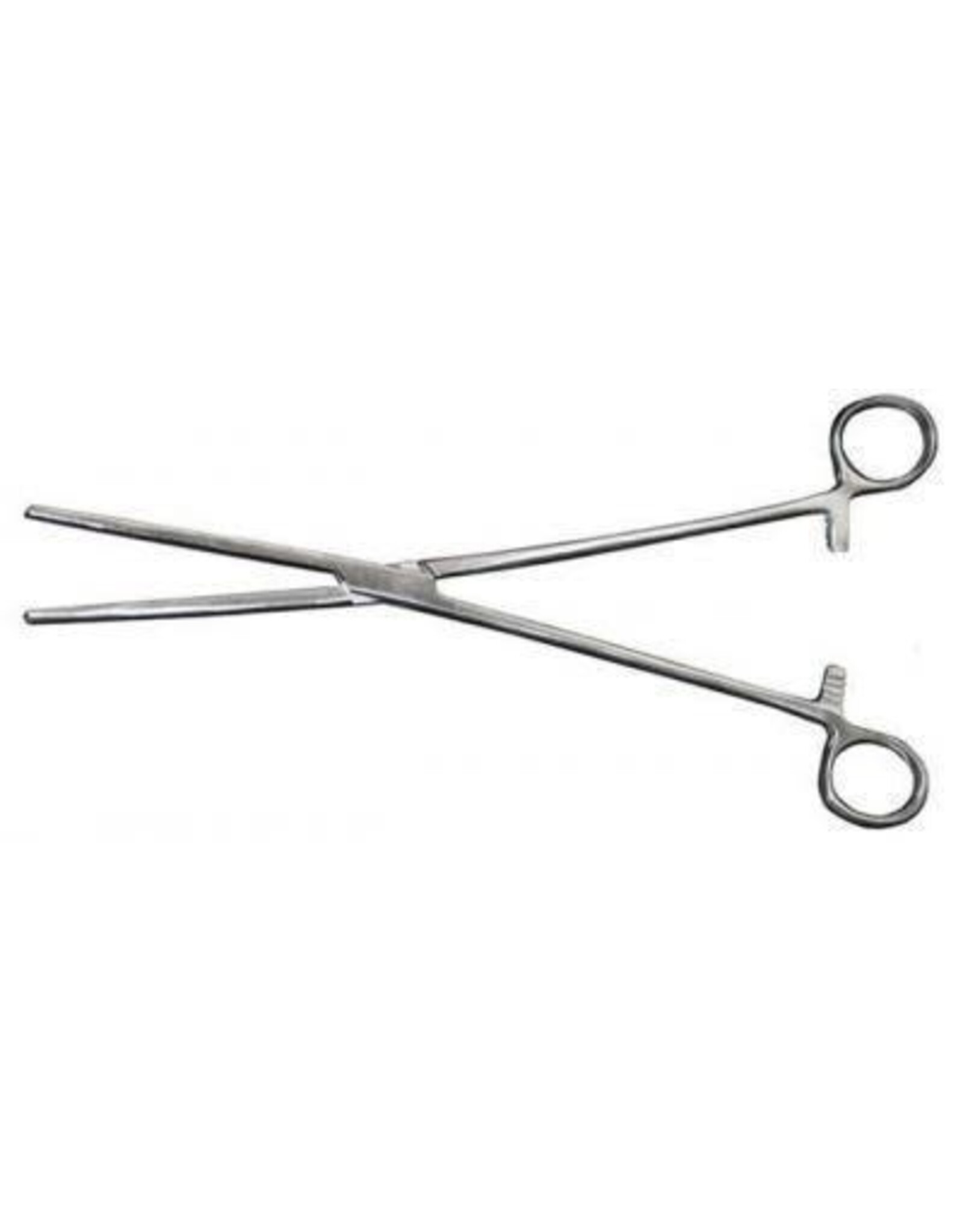 Reptile Basics Feeding Hemostat 10in