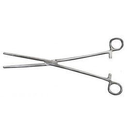 Reptile Basics Locking Hemostat 10"