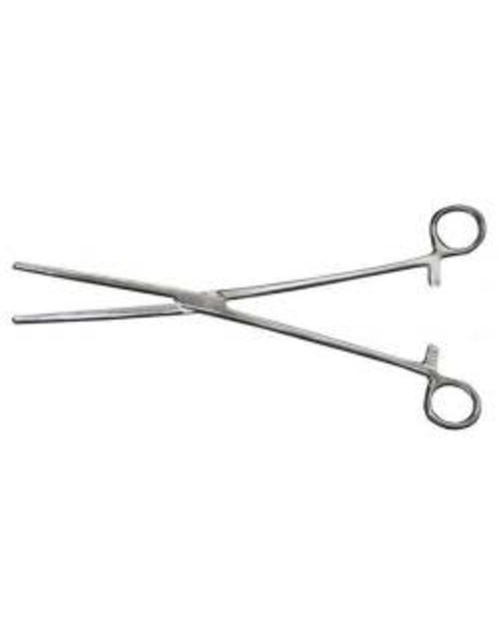 Reptile Basics Feeding Hemostat 12"