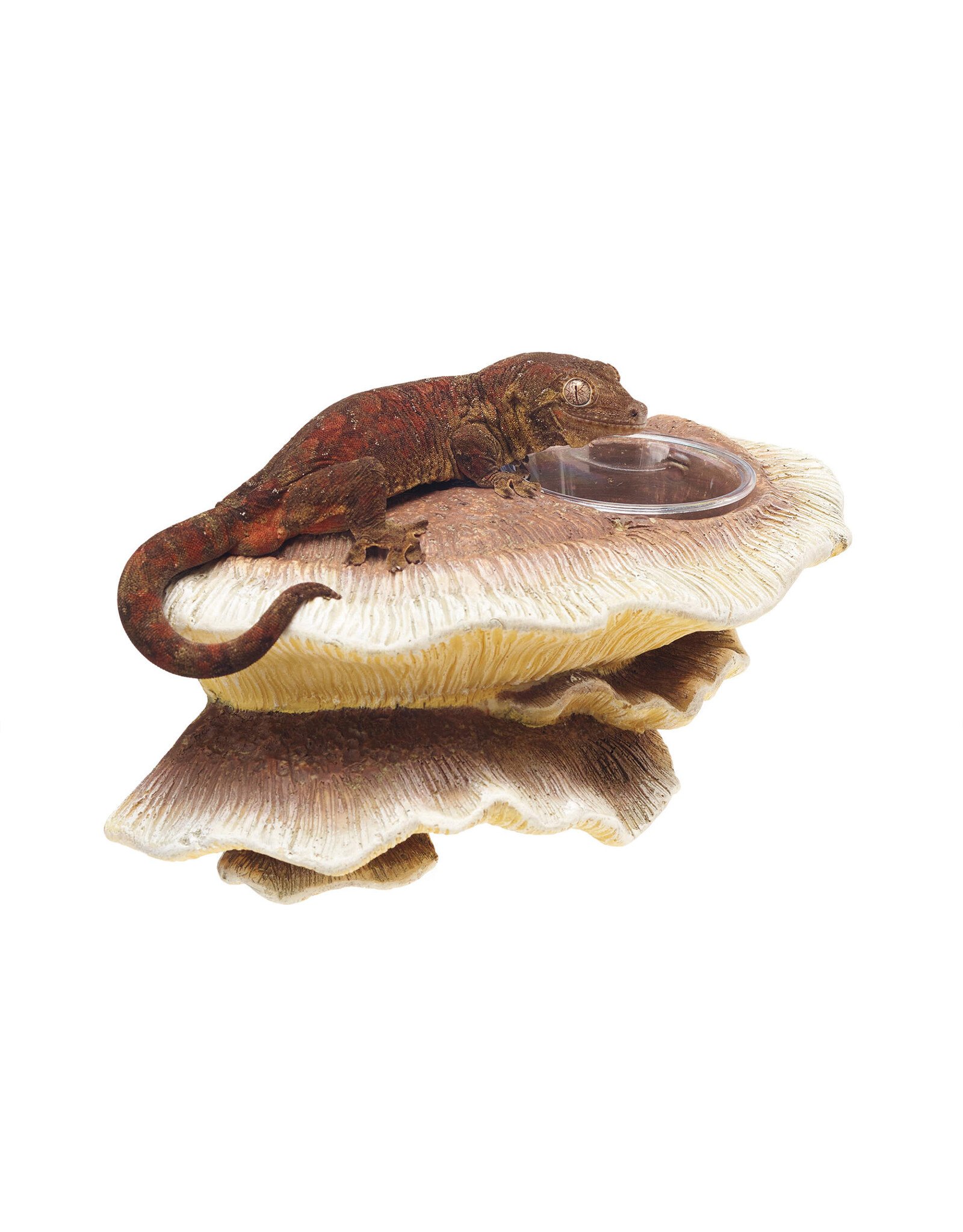 Zilla Zilla Vertical Mushroom Feeding Ledge