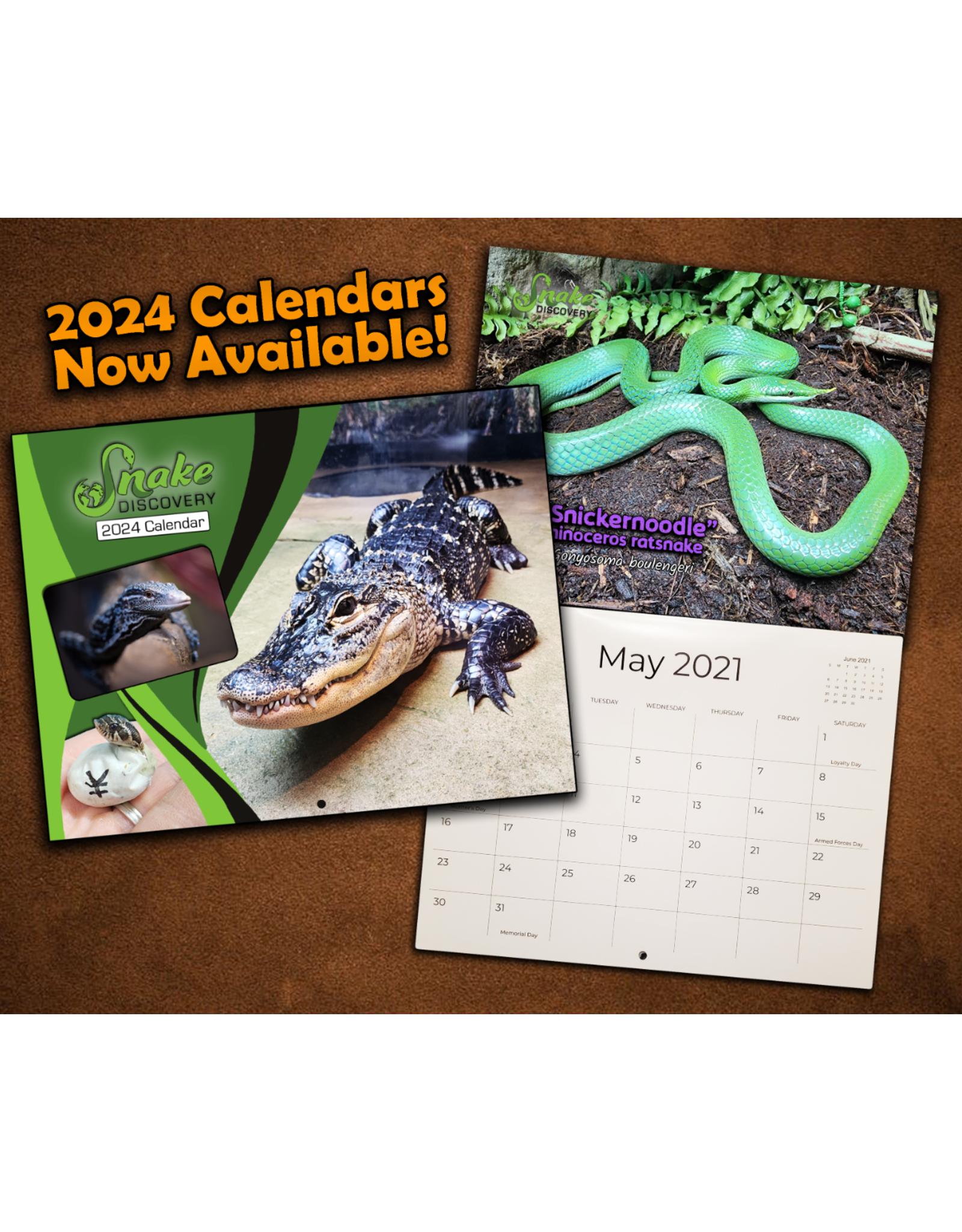 Snake Discovery SD 2024 Calendar