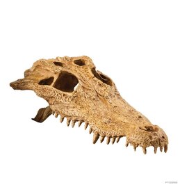 Exo Terra Exo Terra Crocodile Skull