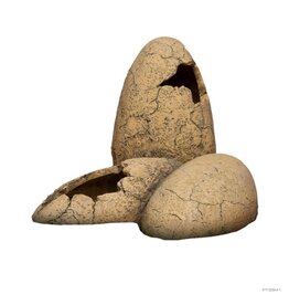 Exo Terra Exo Terra Dinosaur Eggs
