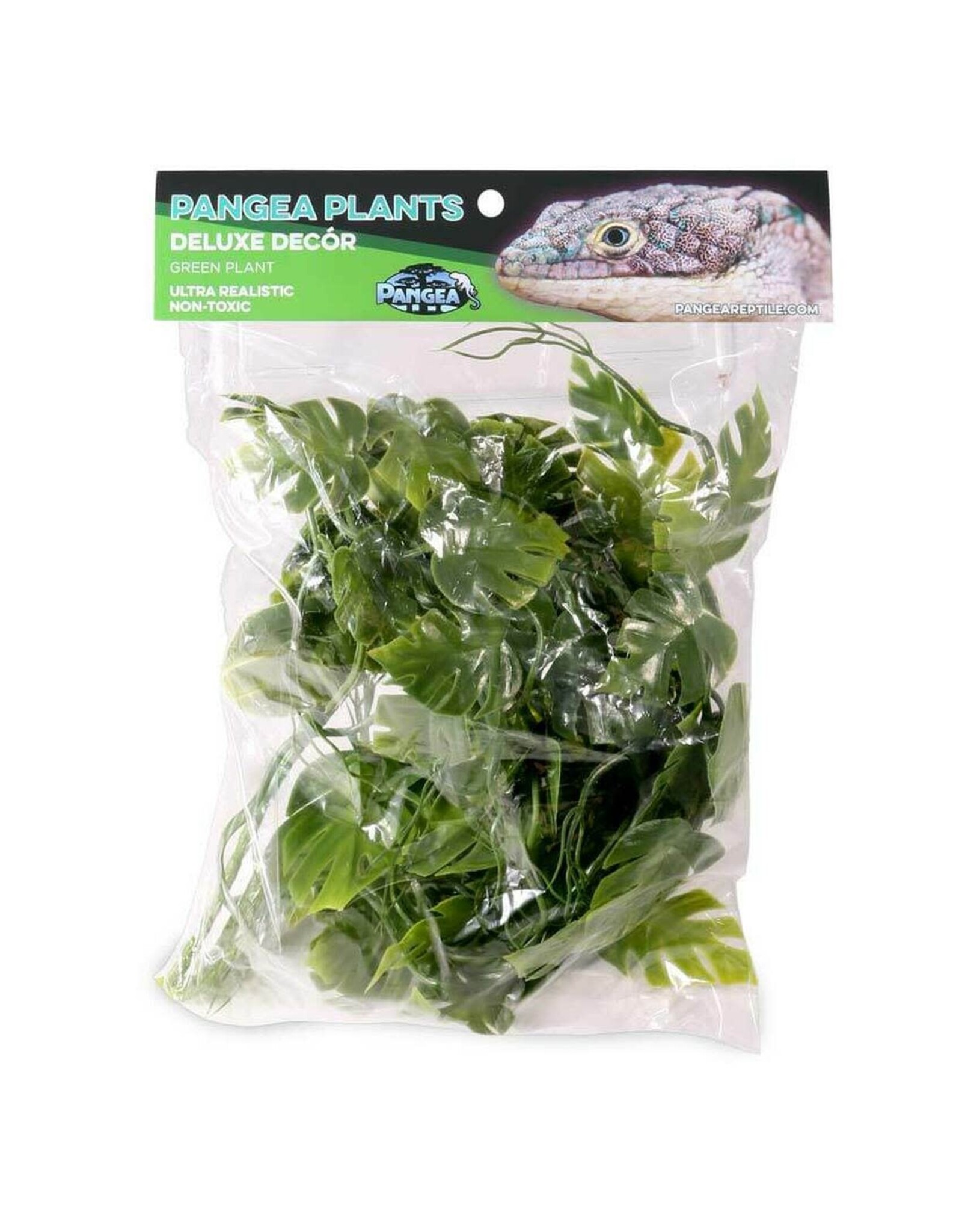 Pangea Pangea Green Plant Pangea
