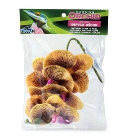 Pangea Pangea Hanging Orchid Yellow