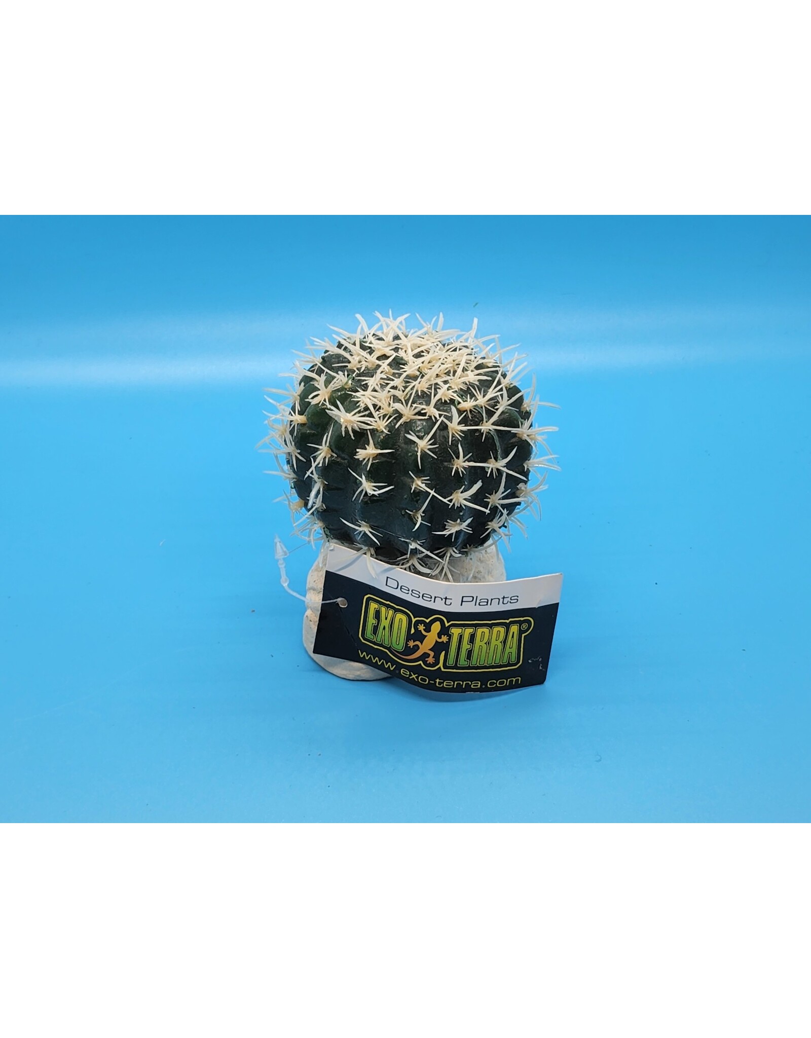 Exo Terra Exo Terra Small Barrel Cactus