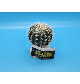 Exo Terra Barrel Cactus S