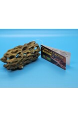 Exo Terra Exo Terra Cholla Cactus Small