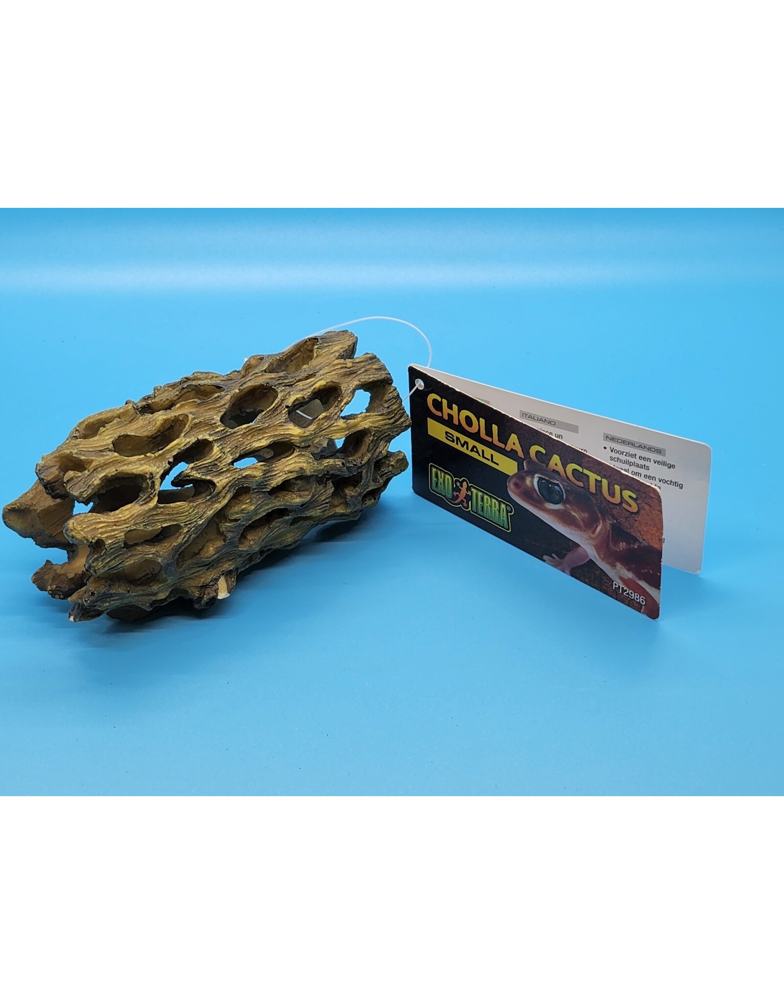 Exo Terra Exo Terra Cholla Cactus Small