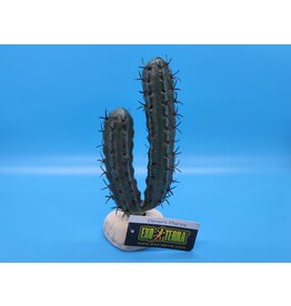 Exo Terra Exo Terra Finger Cactus