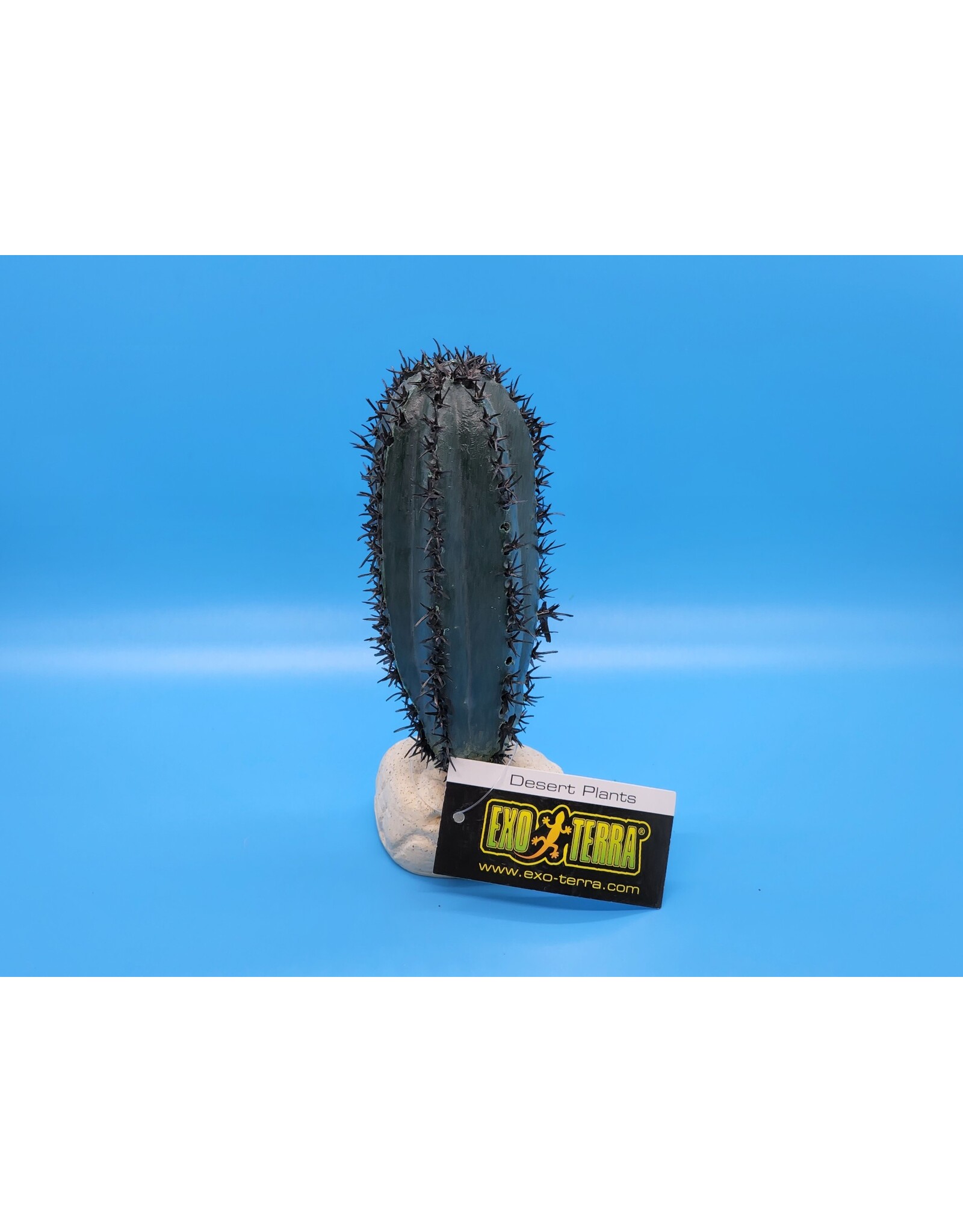 Exo Terra Exo Terra Saguaro Cactus S